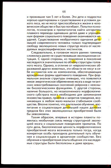 Нищета_мозга_068